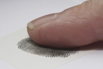 240_F_9392553_J1kSUGBYd0X4y594MjHqAD1vrceQpnSy.jpg, 15 KB