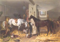 The_Stable_L.jpg, 10 KB
