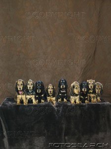 groupe-animaux-chiots-animaux-familiers-mammiferes-~-1349R-262.jpg, 14 KB